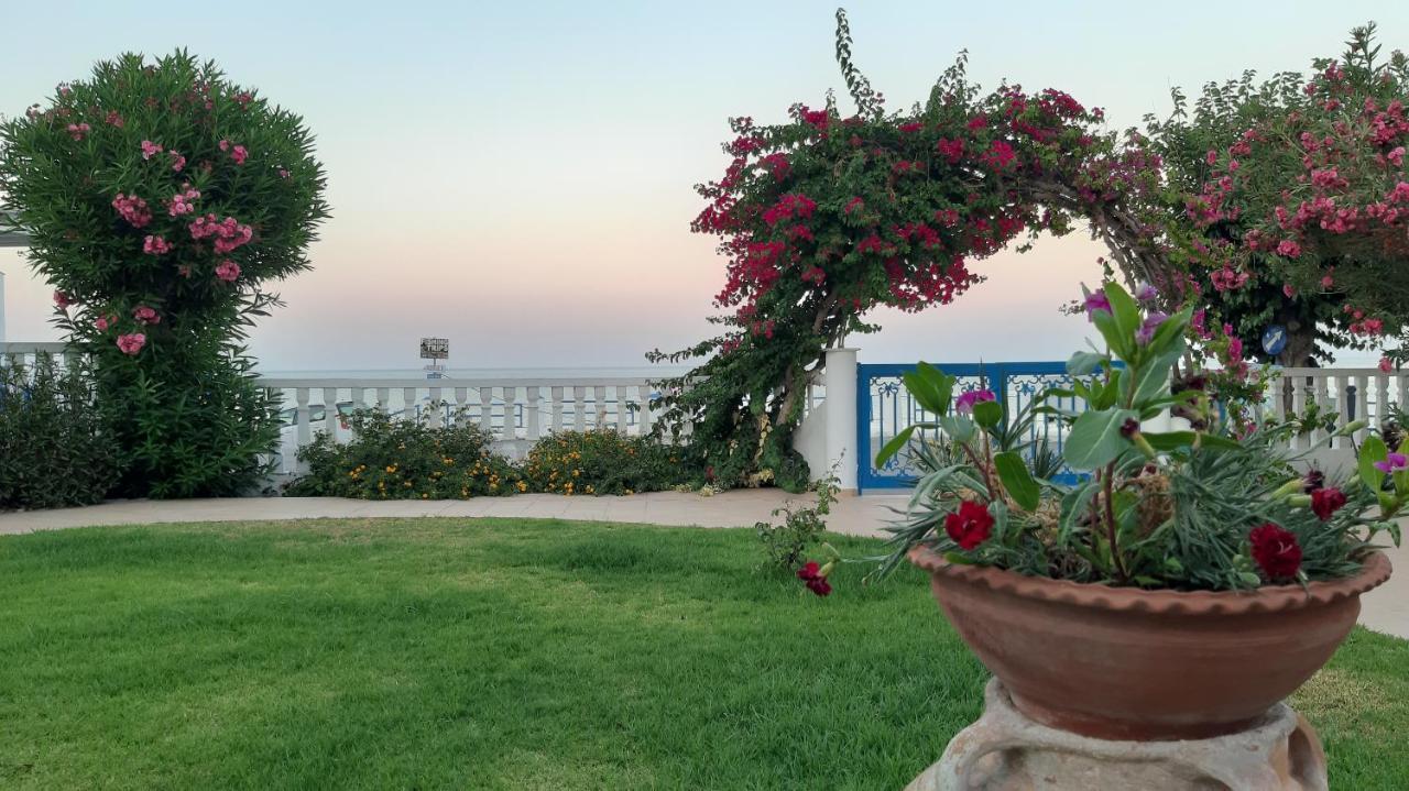 Antonios Apartments Stegna Archangelos (Rhodes) Exterior foto
