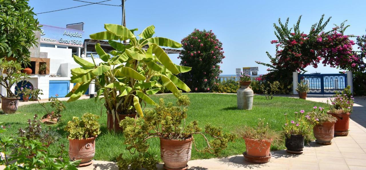 Antonios Apartments Stegna Archangelos (Rhodes) Exterior foto
